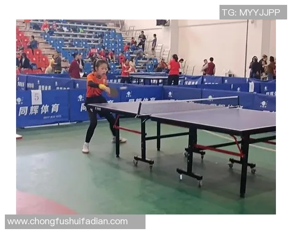 西安乒乓球队区域防守策略分析与比赛表现评估